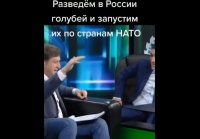 video_98260306