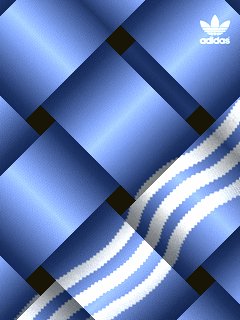 blue adidas