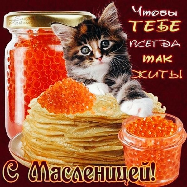 IMG 20240312 201120