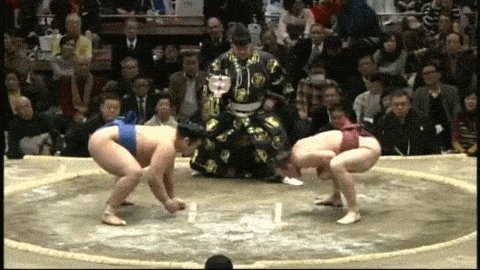 сумоист-хитрец