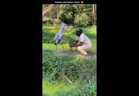 video_104672471