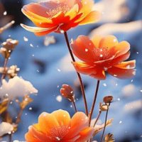 file_96022046