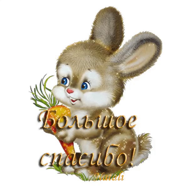 IMG 20180524 113153