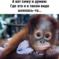 Dwu1ok6s9L0