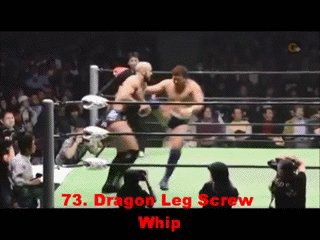 Dragon Leg-Screw Whip
