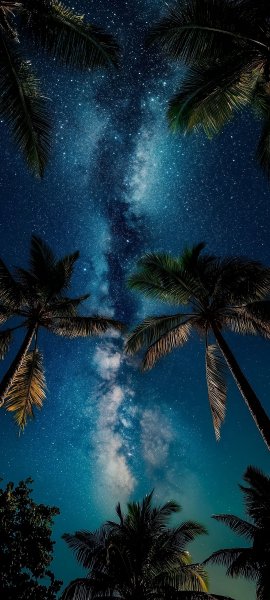 file_99455085