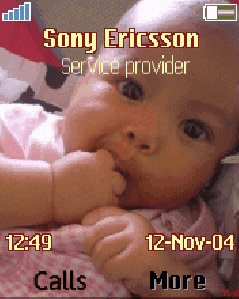 theme6808 1