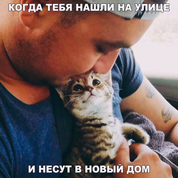 IMG 20231209 000833