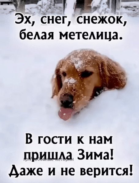IMG 20231205 234407