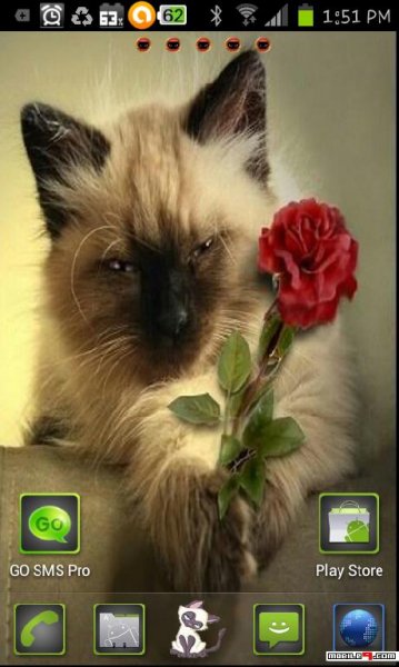 Romantic kitty GO launcher EX theme