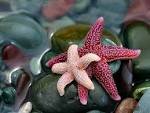 images002