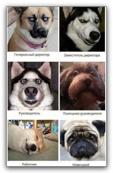 cGjV ltu1YE
