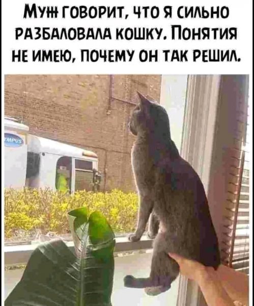 file_102871333