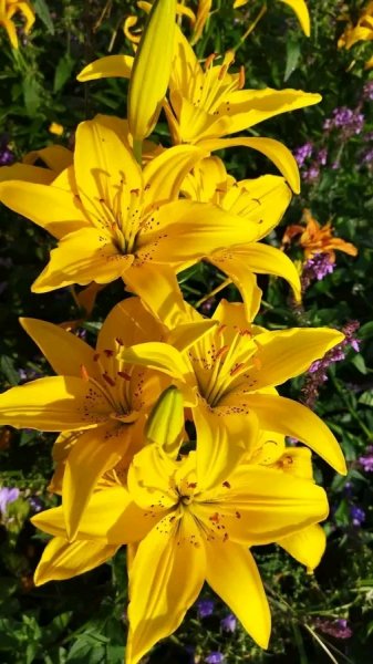 file_103170007