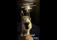 video_110236395