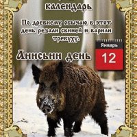 Анимированная открытка 12 января анисьин