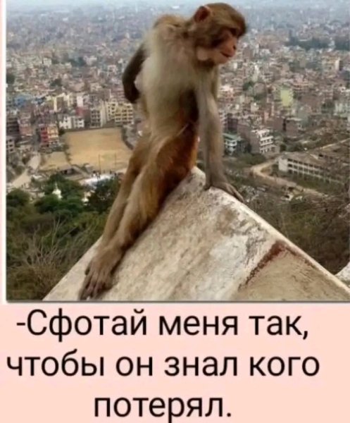 file_103592533