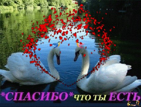 file_75223517