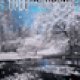 animated snow 20240