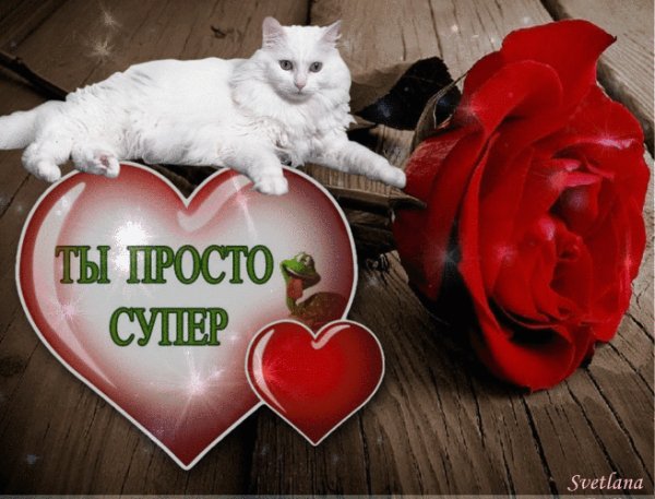 ты супер 000510