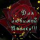 Роза