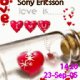 theme8521539аним