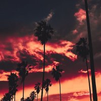 file_73753329