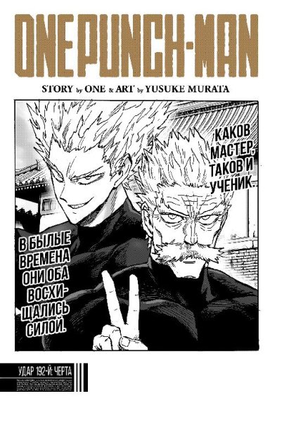 OnePunchMan v29 ch192