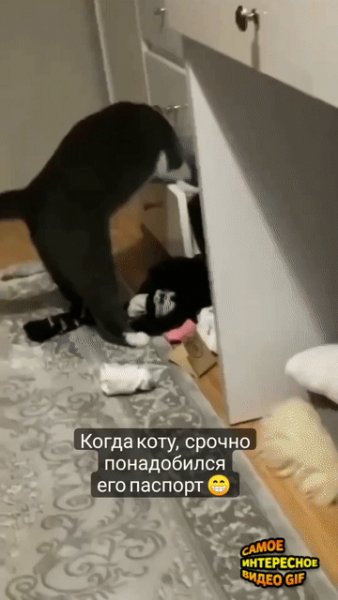 IMG 20230224 202150