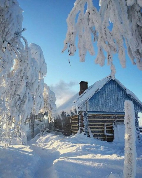 file_101722954