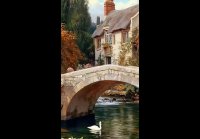 video_109865475