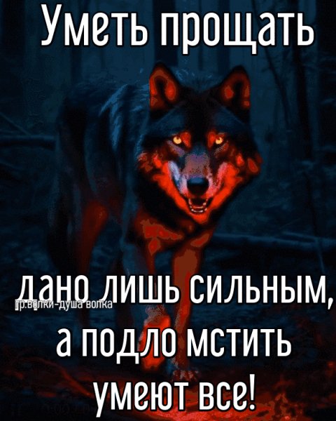 IMG 20250211 110039