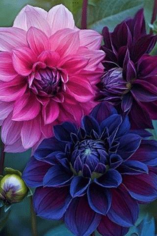 file_98995403