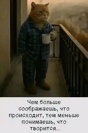 file_103519785