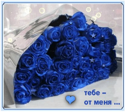 file_72540362