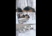 ВЕРТУХАИ видео смешное