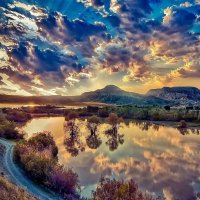 file_103577190