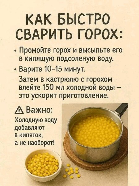 file_101043221