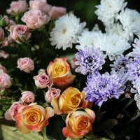 Image (48)