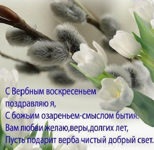 С Вербным воскресеньем!..2.