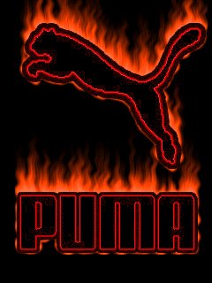 Puma sport fire