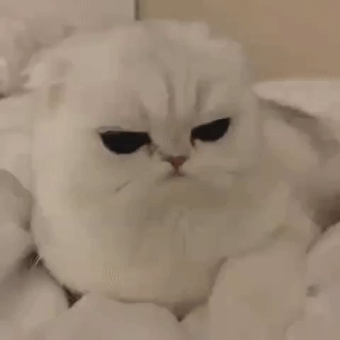 gif 1479421781