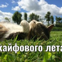 IMG 20260602 153805 927