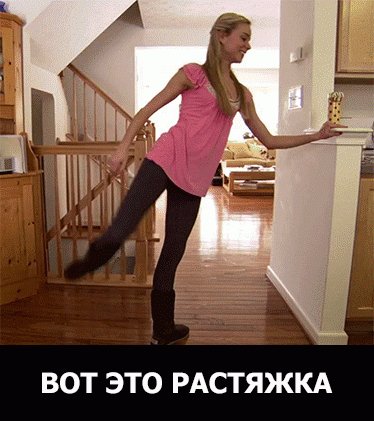 IMG 1542