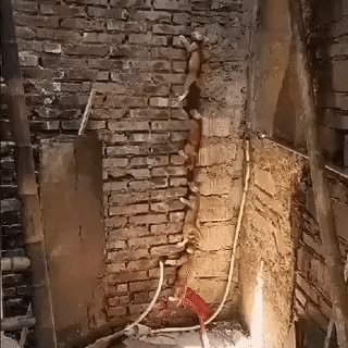 Кошачая змейка