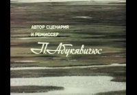 Белая сова