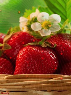file_48080789