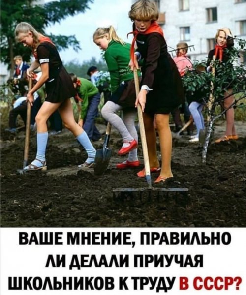 file_97048933