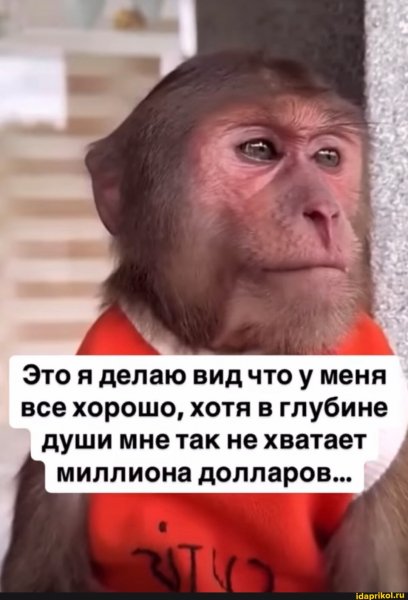 d92e7286d971c2f8204606f4b80271c0eced1735 1