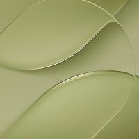 adapted 1080x2408 1791213355